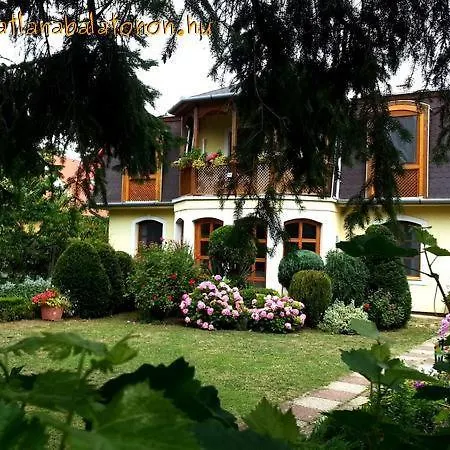 115 - A Balatontol 800 Meterre Elegans Villaban 3 Haloszobas Apartman Lejlighed